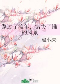 路過了流年,錯失了誰的風景