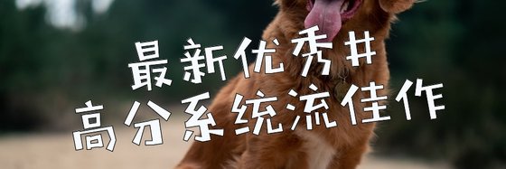 最新优秀#高分系统流佳作