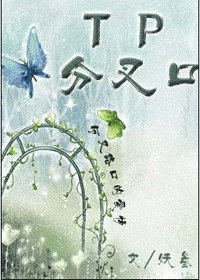 TP分叉口